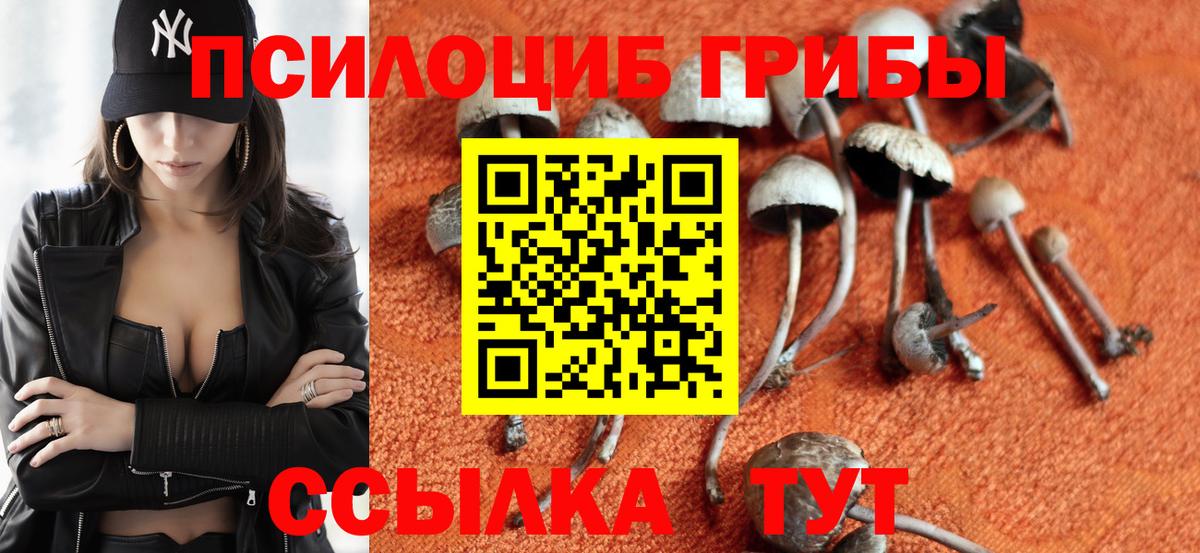 дарнет шоп  Псилоцибиновые грибы Magic Shrooms  Вход с VPN  Лесозаводск  Галлюциногенные грибы мухоморы 
