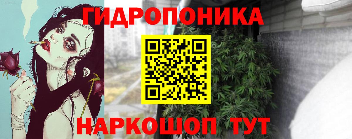 Бошки марихуана конопля  Вход с VPN  Лесозаводск  Марихуана LSD WEED  Каннабис White Widow  Бошки марихуана ГИДРОПОН 
